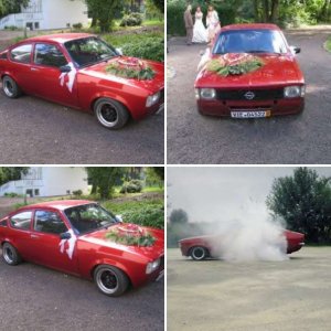 Fischersblitze