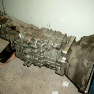 Thomas 79