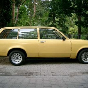 Blaubaer11