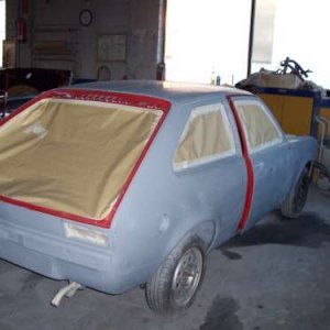 Stonii