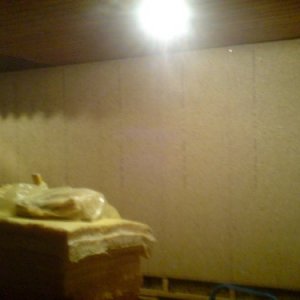 ESB Platten