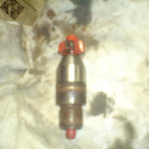 Tachroritzel
