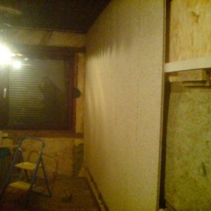 ESB Platten