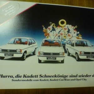 Schneekönig Scan