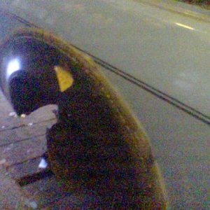 und noch ein Radlauf