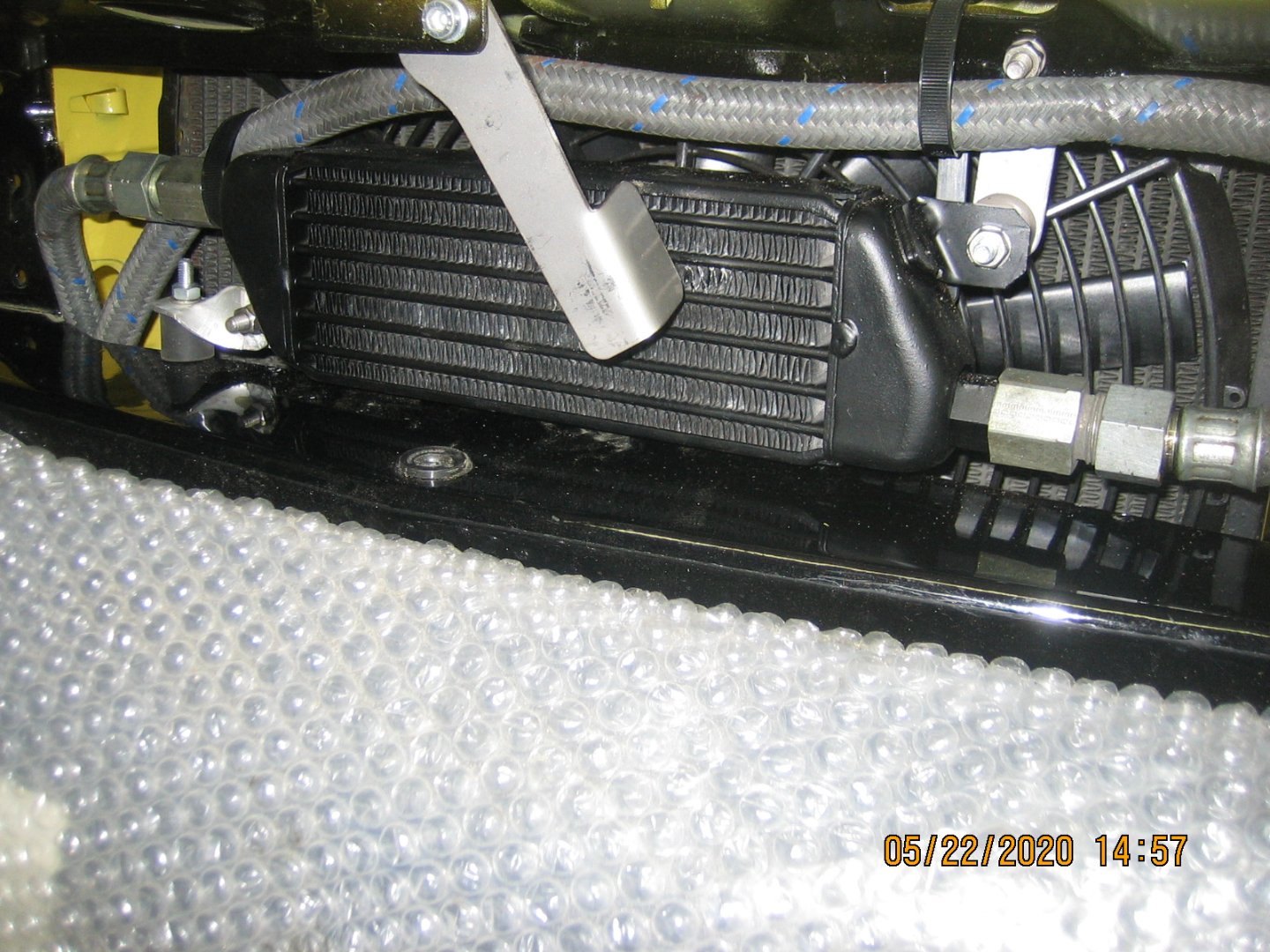 canon bilder 355.JPG