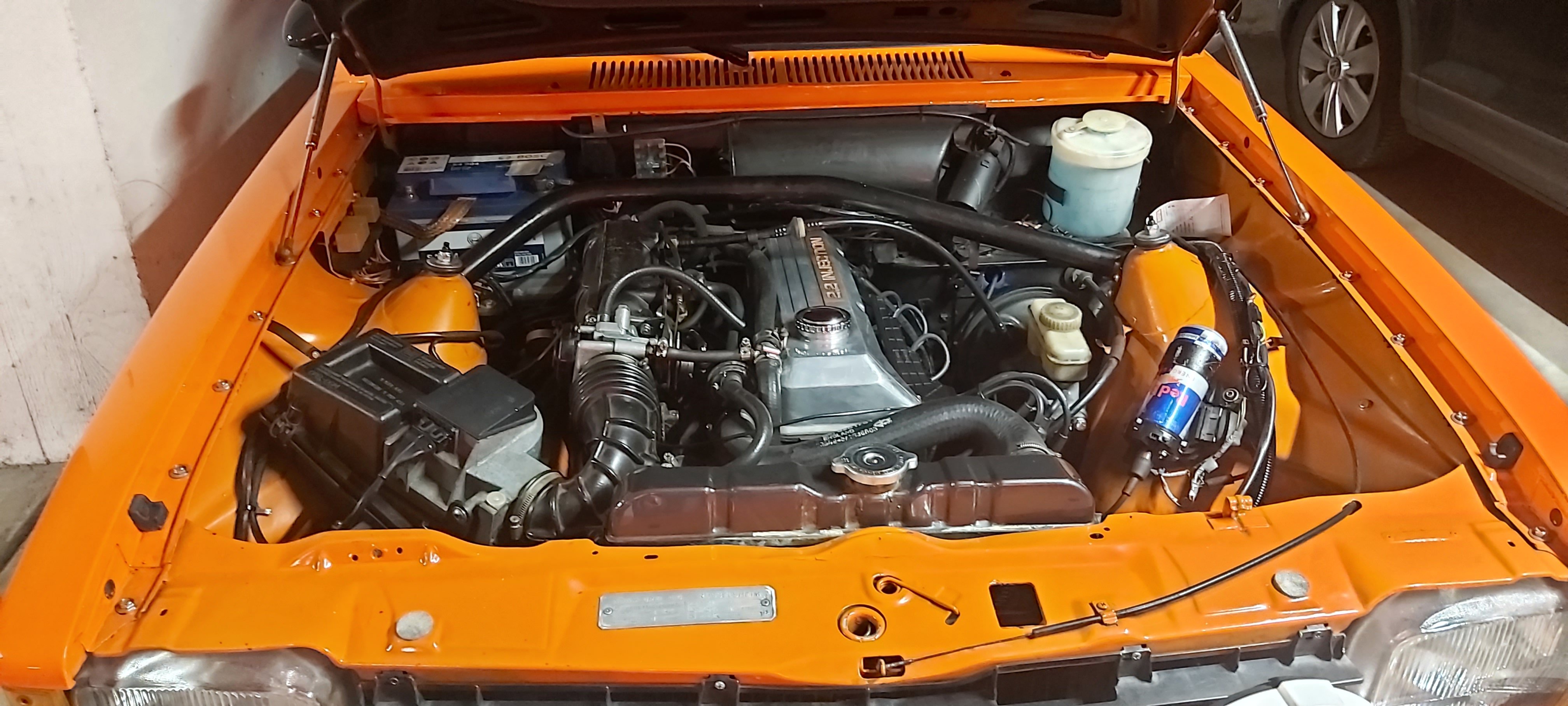 20240329_140918.jpg