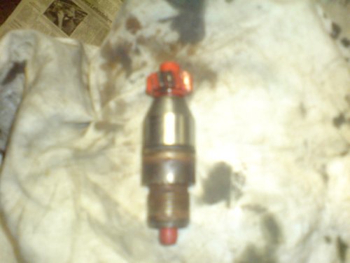 Tachroritzel